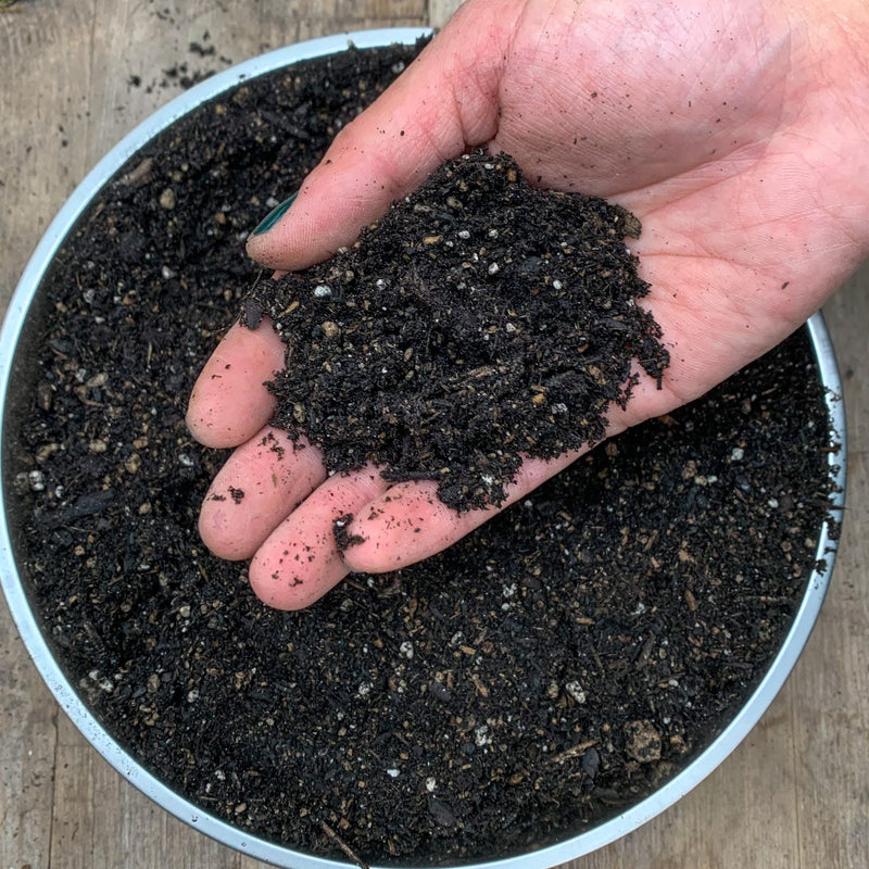 Compost / Potting Soil Near Me | Jacksonville | ProGreen Services