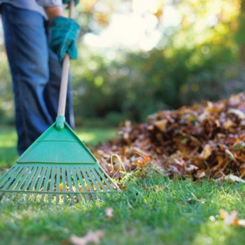 Lawn & Leaf Cleanup Package Near Me | Jacksonville | ProGreen Services