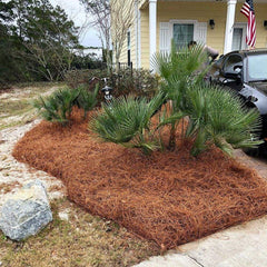 Pine Straw | Per Bale Near Me | Jacksonville | ProGreen Services