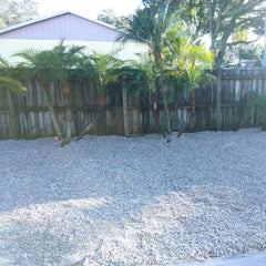 Shell | Small Near Me | Jacksonville | ProGreen Services