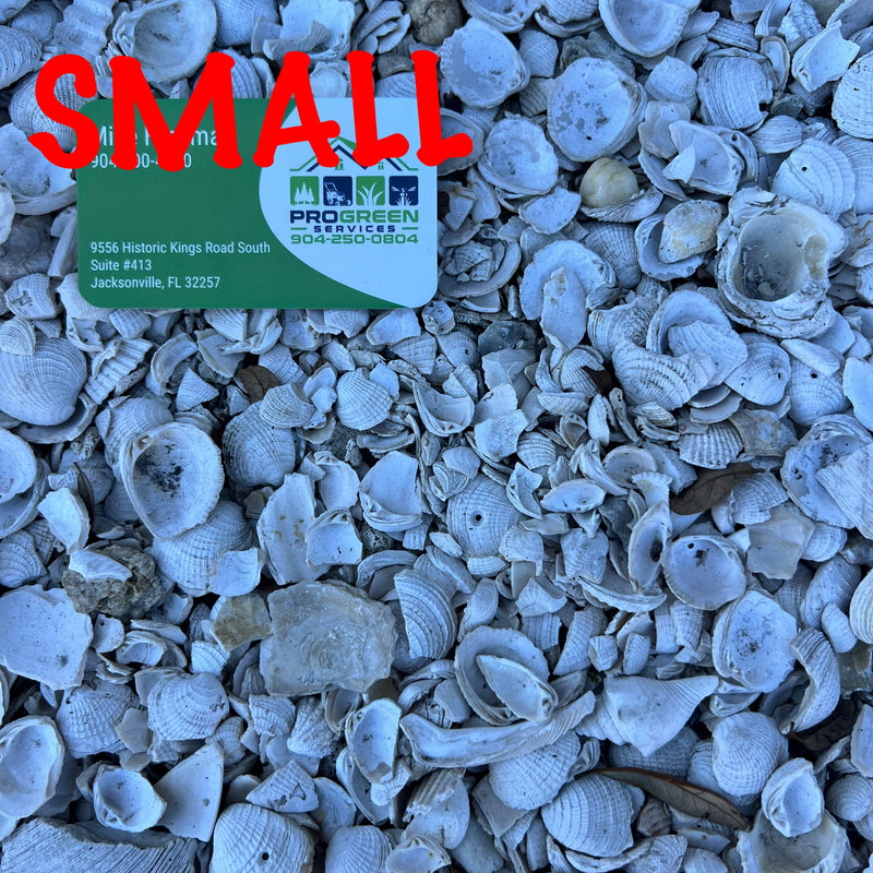 Shell | Small Near Me | Jacksonville | ProGreen Services