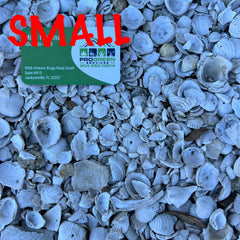 Shell | Small Near Me | Jacksonville | ProGreen Services