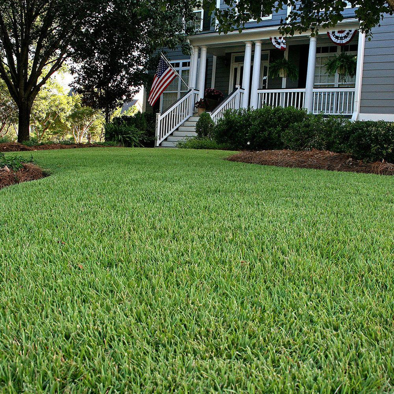 Sod & Grasses - All Varieties Delivered Near Me | Jacksonville | ProGreen Services