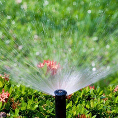 Sprinkler System Tune Up Near Me | Jacksonville | ProGreen Services