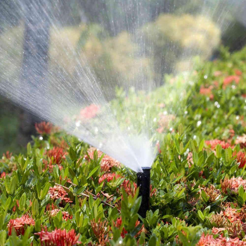 Sprinkler System Tune Up Near Me | Jacksonville | ProGreen Services