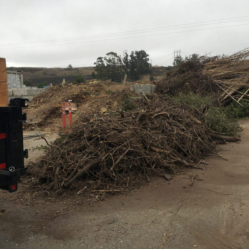 Yard Debris Removal Near Me | Jacksonville | ProGreen Services